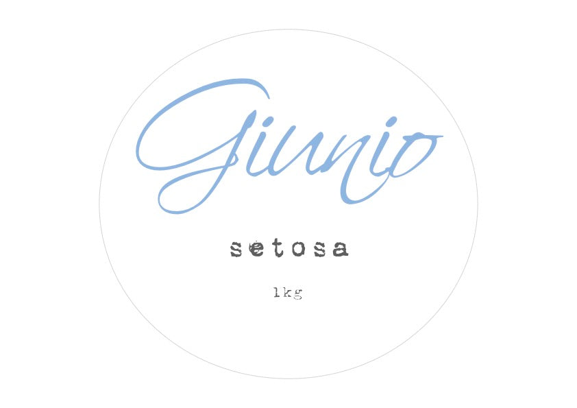 setosa - Giunio Coffee Beans 1kg